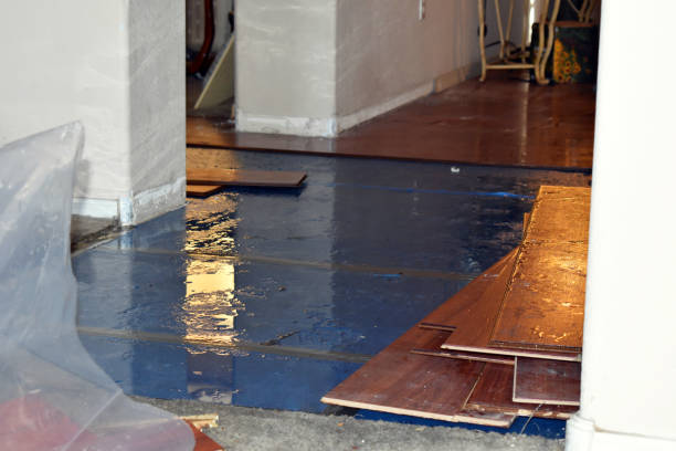 Professional Flood Damage Repair technician working in Ashley, MI